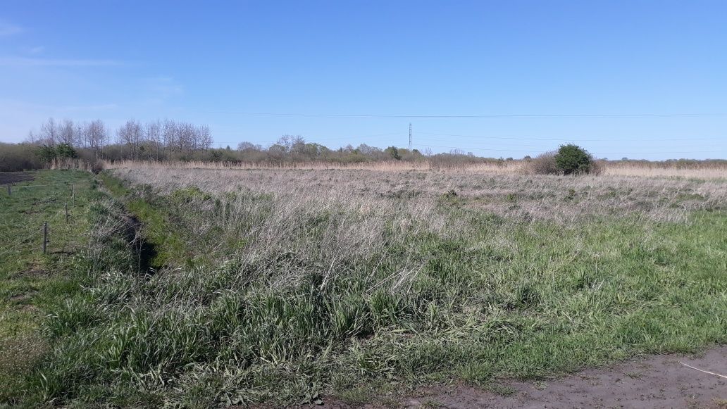 Działka inwestycyjna Reda. Zdjęcie 3