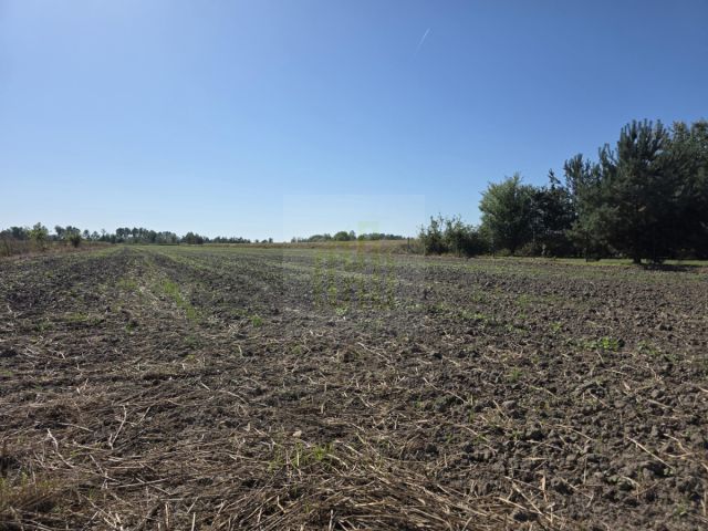 Działka budowlana Nowe Faszczyce. Zdjęcie 16