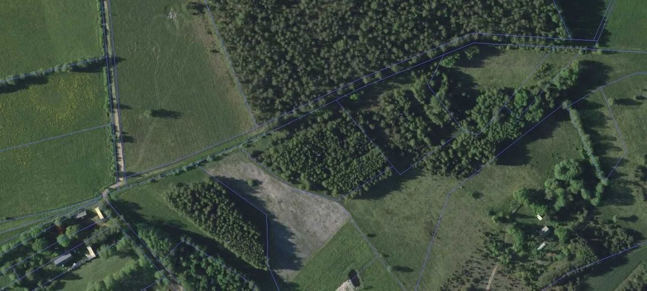 Działka rolno-budowlana Dąbrowy. Zdjęcie 3