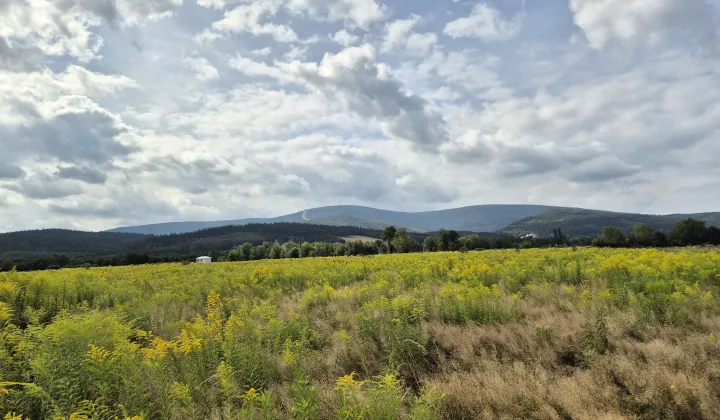 Działka rolno-budowlana Świeradów-Zdrój, ul. Jarzębinowa