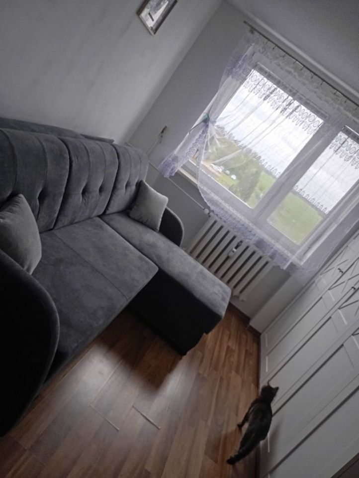 Mieszkanie 2-pokojowe Lipka. Zdjęcie 3