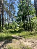 Działka rolna Pokrzywna. Zdjęcie 1