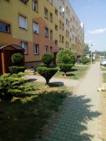 Mieszkanie 3-pokojowe Krosno Odrzańskie, ul. Kościuszki. Zdjęcie 1