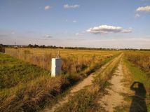 Działka budowlana Suszno Suszno-Kolonia, ul. Brzoskwiniowa. Zdjęcie 2