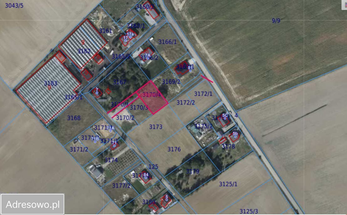 Działka budowlana Olszewka. Zdjęcie 2