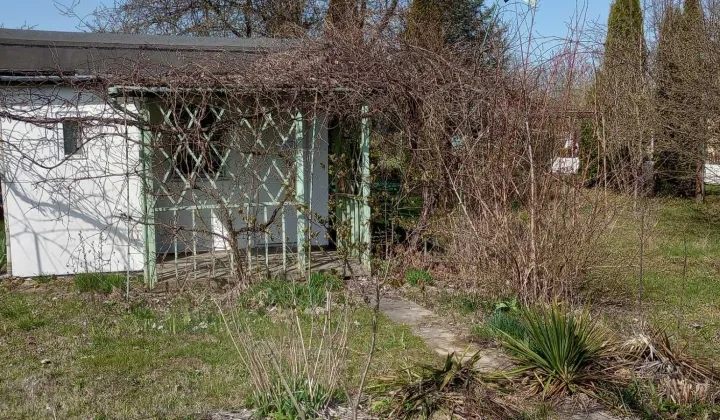 Działka rod Puławy, ul. 4 Pułku Piechoty WP