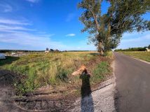 Działka budowlana Grodztwo. Zdjęcie 1