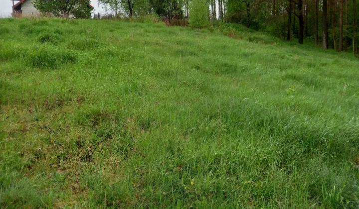 Działka budowlana Rożno-Parcele, ul. Chabrowa