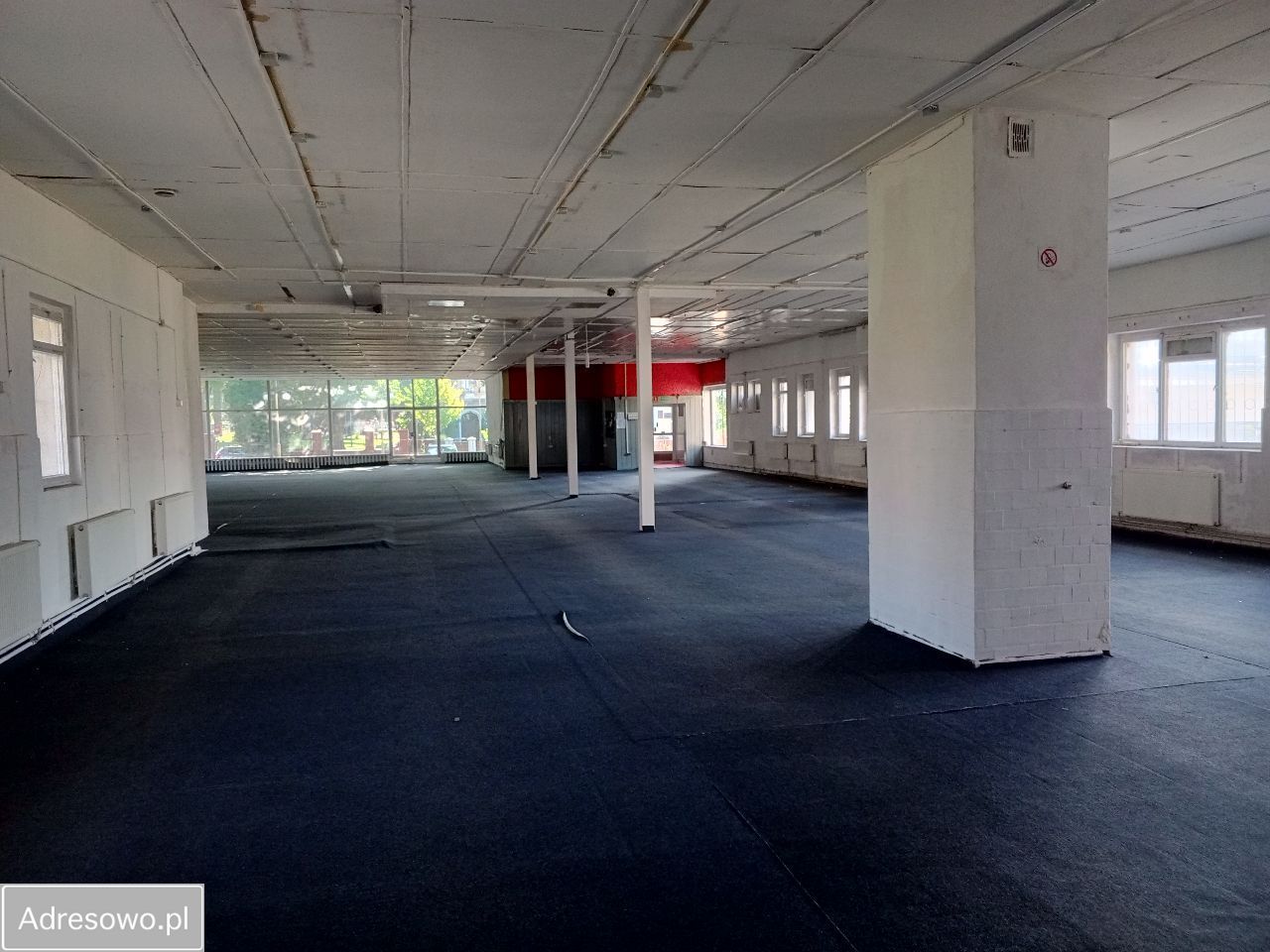Lokal Głubczyce, ul. Wałowa. Zdjęcie 7