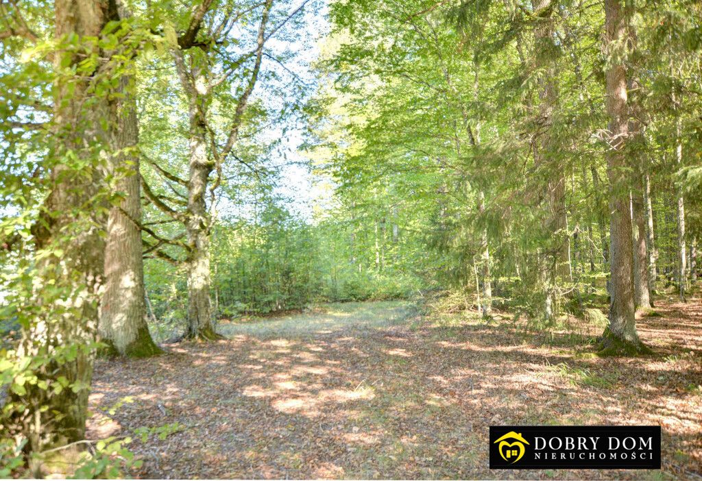 bliźniak, 2 pokoje Topiło. Zdjęcie 27