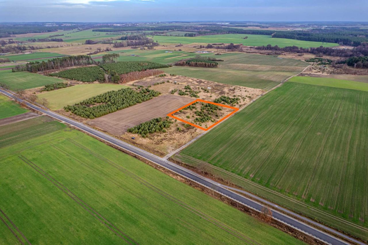 Działka rolna Borów. Zdjęcie 4