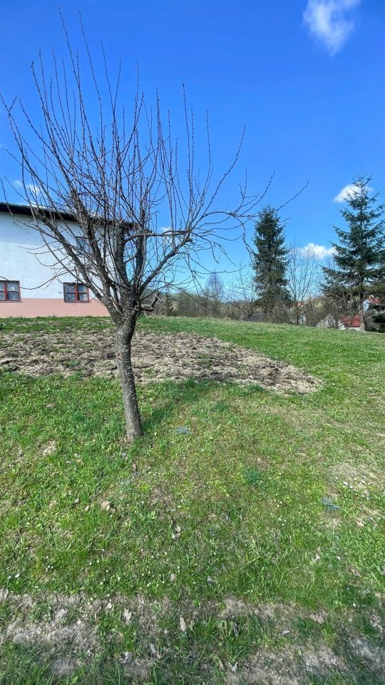 dom wolnostojący, 5 pokoi Berest. Zdjęcie 15