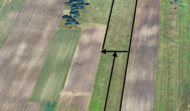 Działka rolna Krasice, -