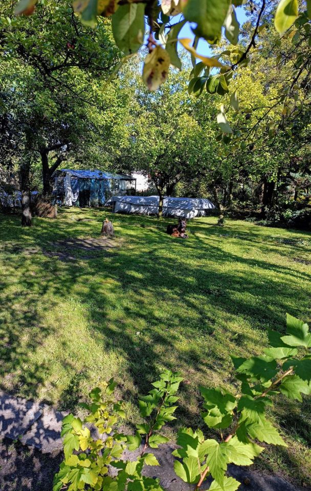 Działka rod Lubin, ul. Spacerowa. Zdjęcie 3