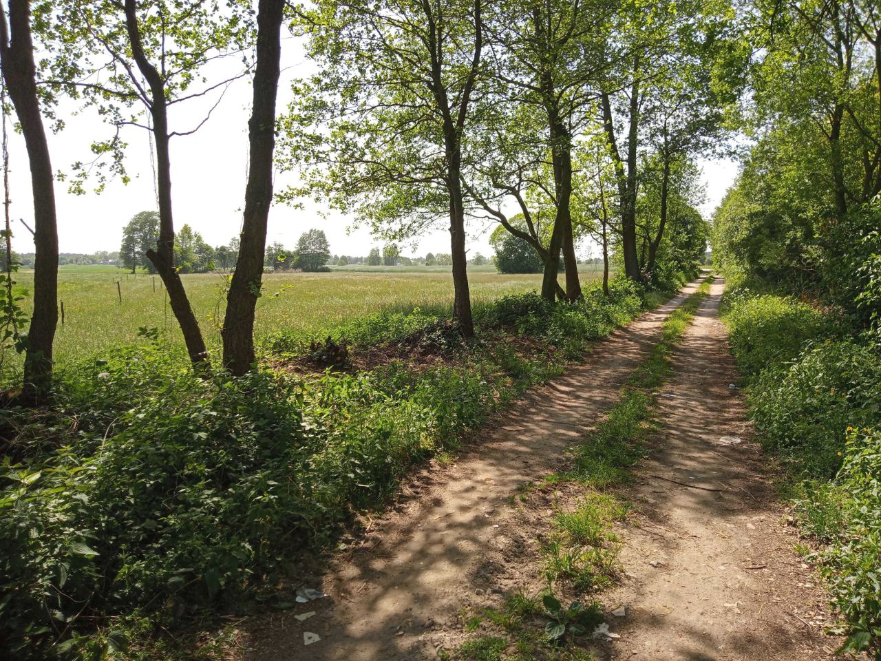 Działka rolna Goszczyce Średnie. Zdjęcie 2