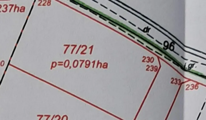 Działka budowlana Budziechów, -