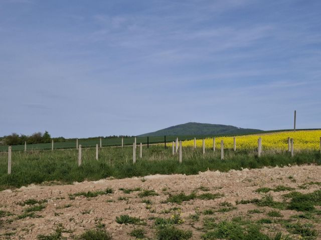 Działka budowlana Kątki. Zdjęcie 1