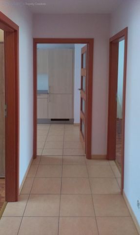 Mieszkanie 2-pokojowe Poznań Stare Miasto, ul. Serbska. Zdjęcie 5