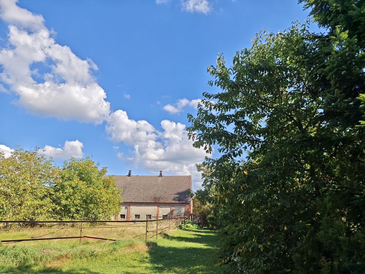 gospodarstwo, 3 pokoje Bucze. Zdjęcie 10