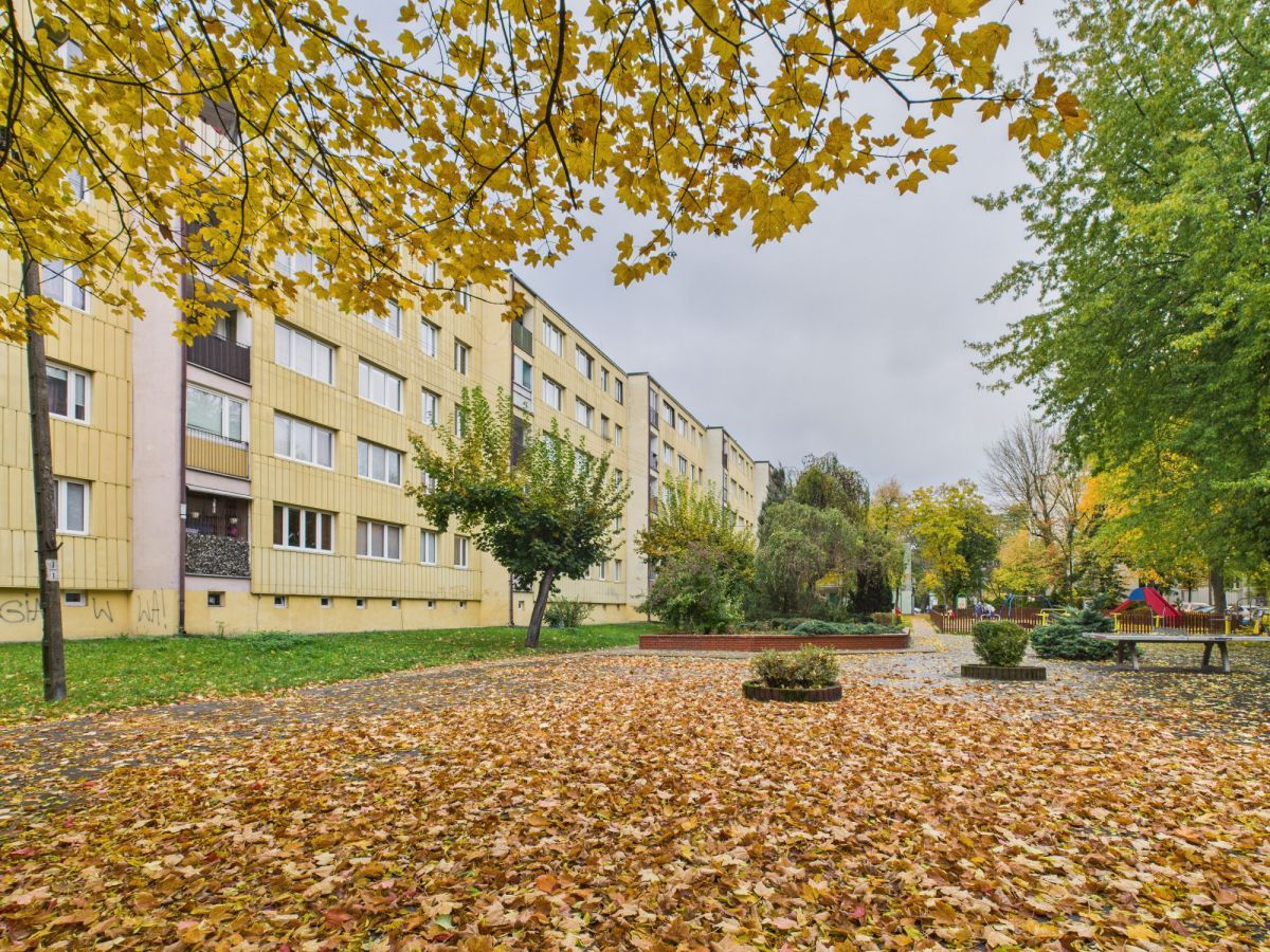 Mieszkanie 2-pokojowe Milanówek, ul. Piotra Skargi. Zdjęcie 19