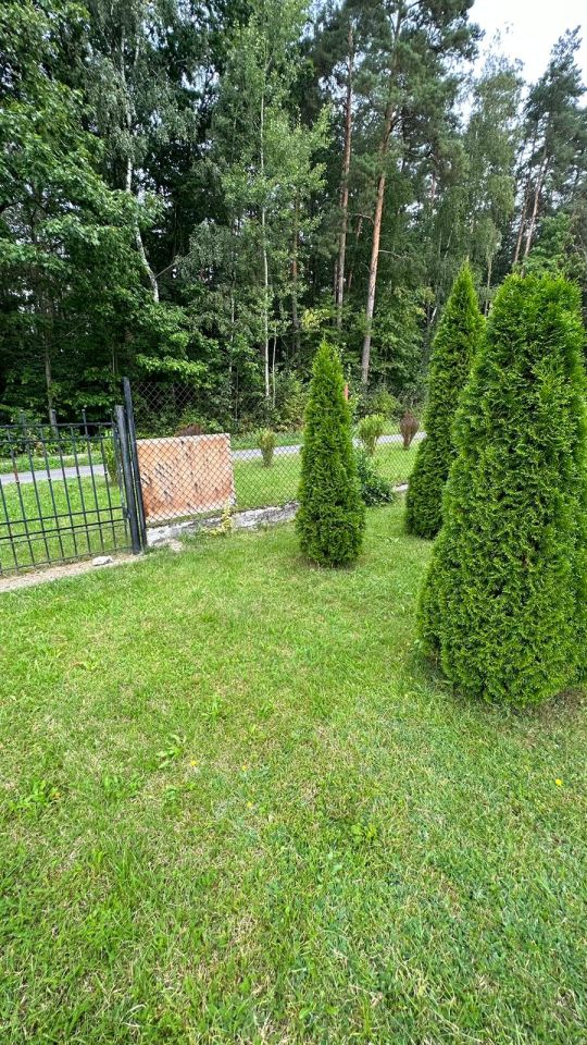 Działka budowlana Świerczyna. Zdjęcie 24