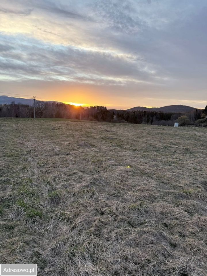 Działka budowlana Jordanów, ul. Malejowska. Zdjęcie 2