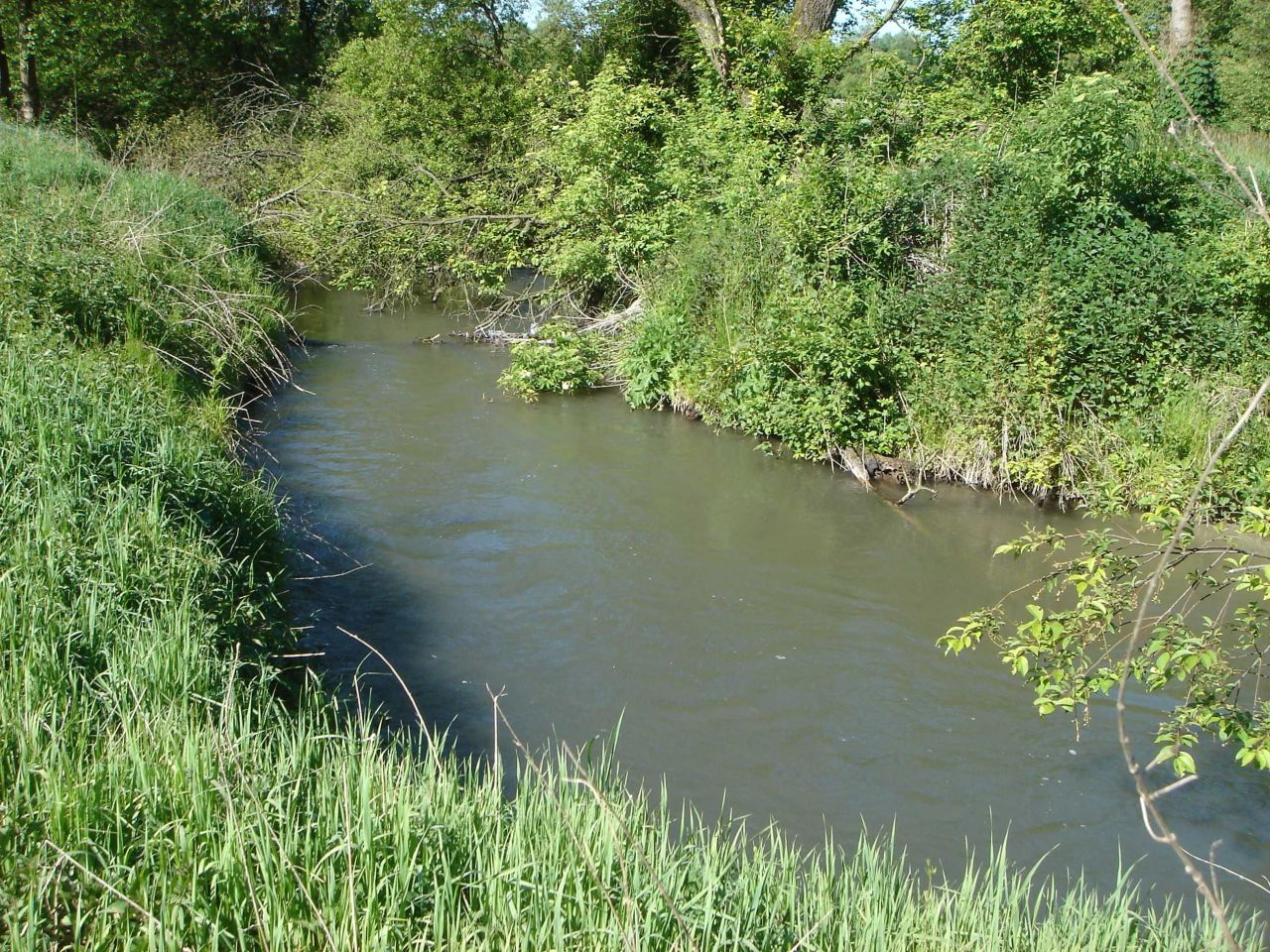 Działka budowlana Żabia Wola. Zdjęcie 2