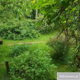 dom wolnostojący, 6 pokoi Brzeźnica