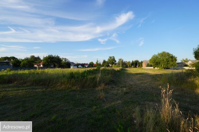 Działka rolna Dziecinów. Zdjęcie 1