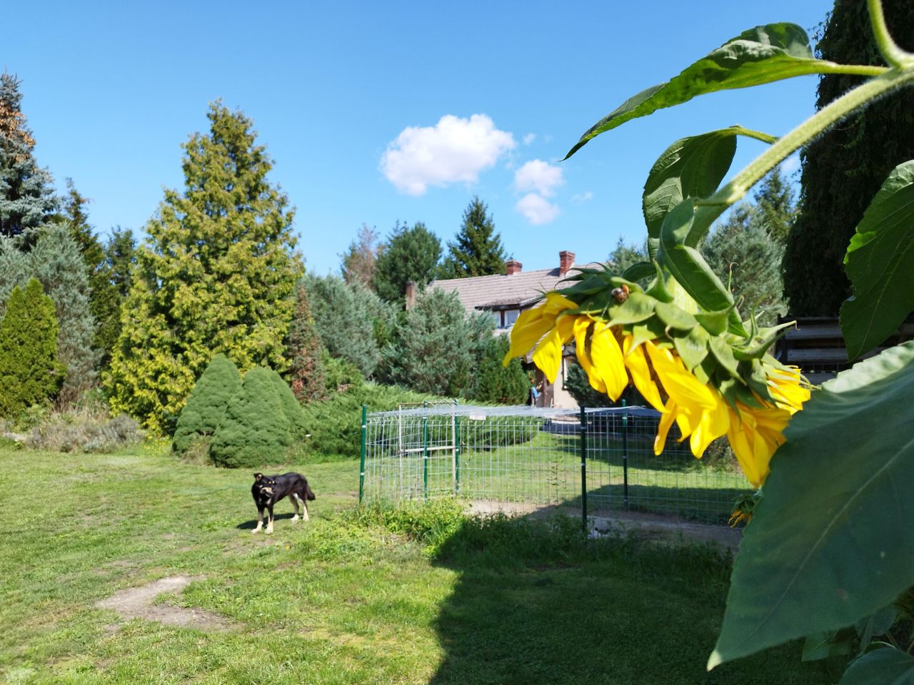 dom wolnostojący, 8 pokoi Lubień. Zdjęcie 3