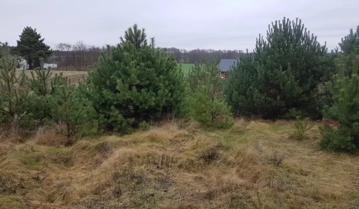 Działka rolno-budowlana Głodowo