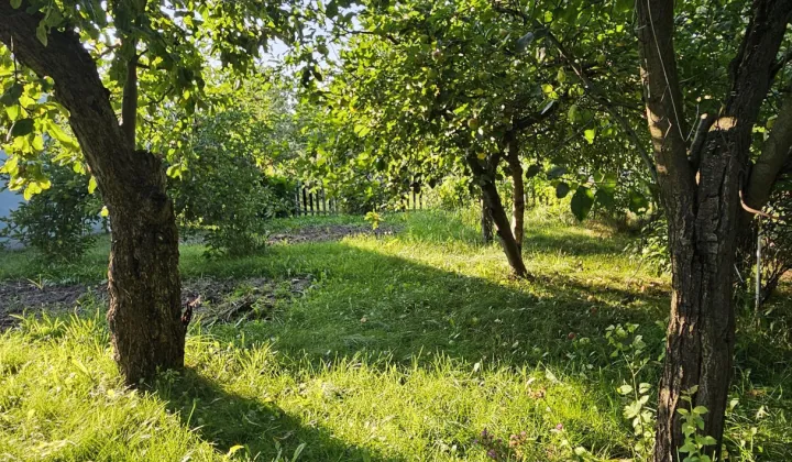 Działka rod Dębica, ul. Mościckiego