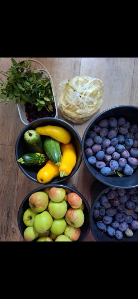 Działka rod Gorzów Wielkopolski. Zdjęcie 6