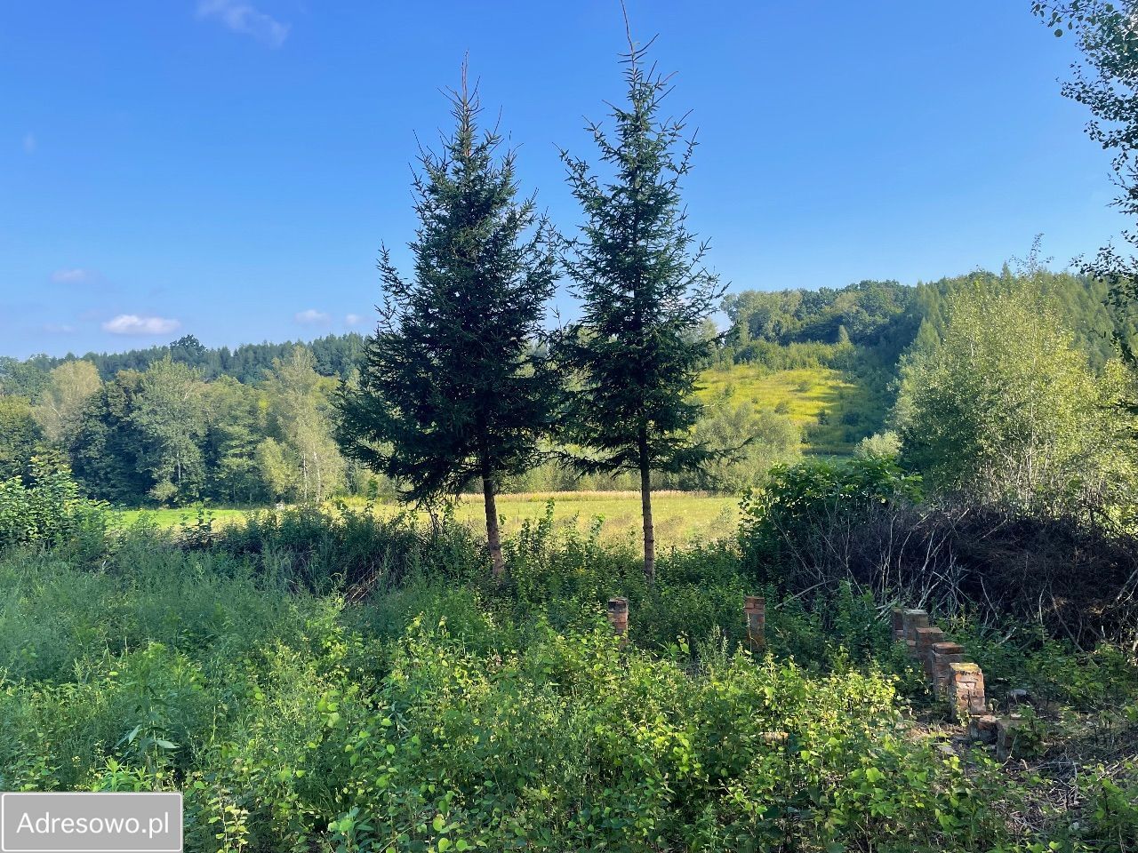 Działka budowlana Kazimierz Dolny. Zdjęcie 14