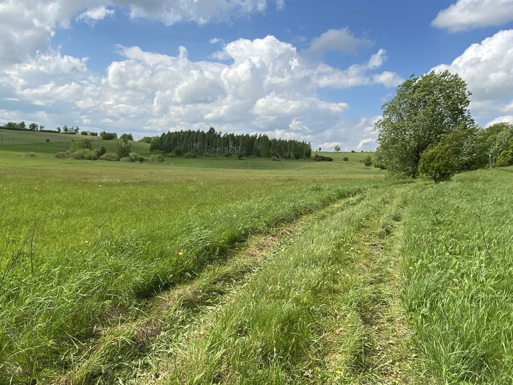 Działka siedliskowa Wygoda Wólka Klonowska. Zdjęcie 3