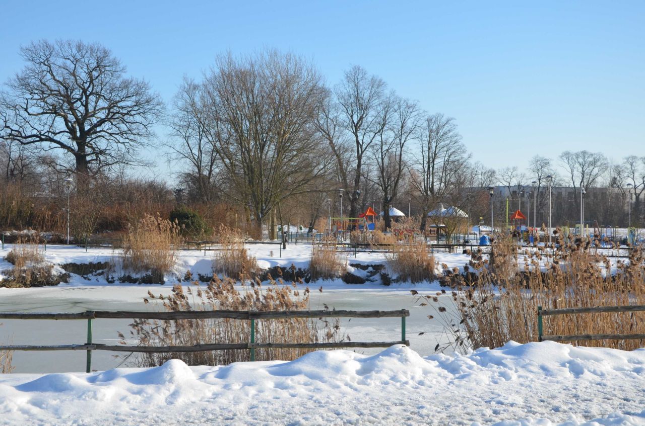 Działka budowlana Wierzbin. Zdjęcie 7