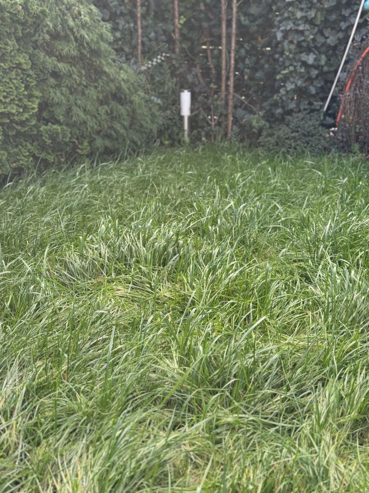 Mieszkanie 3-pokojowe Bielany Wrocławskie, ul. Ogrodowa. Zdjęcie 34