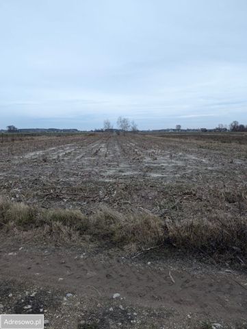 Działka budowlana Nieborów. Zdjęcie 1