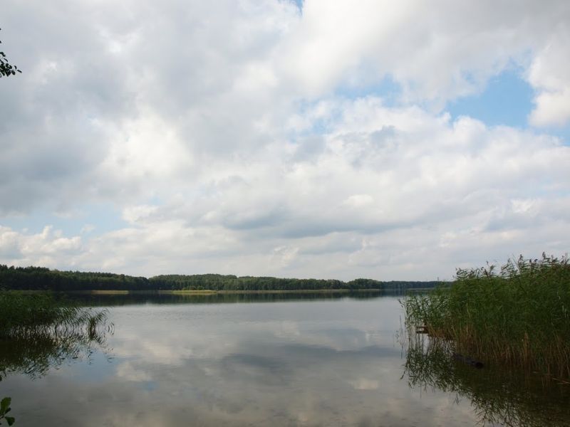 Działka budowlana Silna. Zdjęcie 8