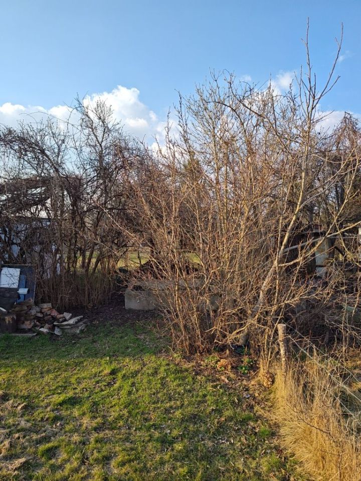 Działka rod Wrocław Krzyki, ul. Gazowa. Zdjęcie 4