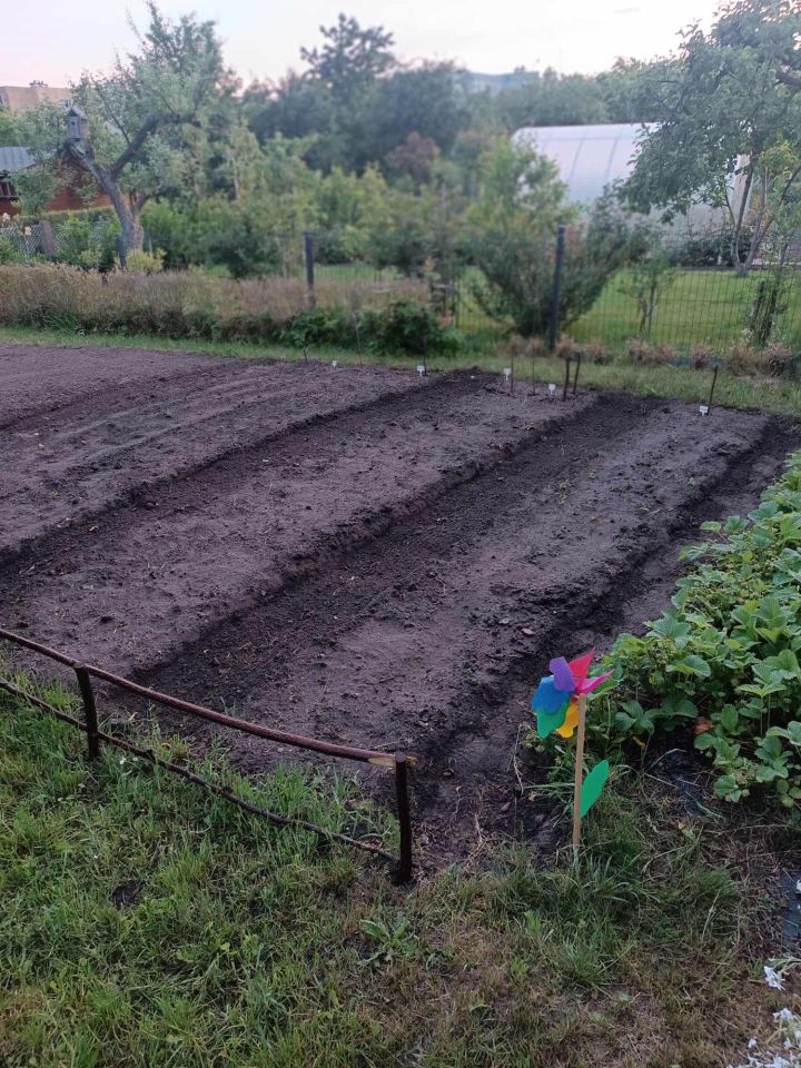 Działka rod Gdańsk Chełm, ul. Zamiejska. Zdjęcie 14