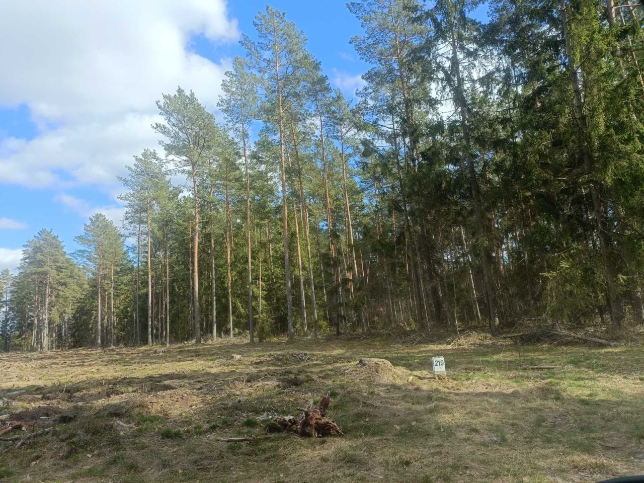 Działka leśna Szczytno. Zdjęcie 4