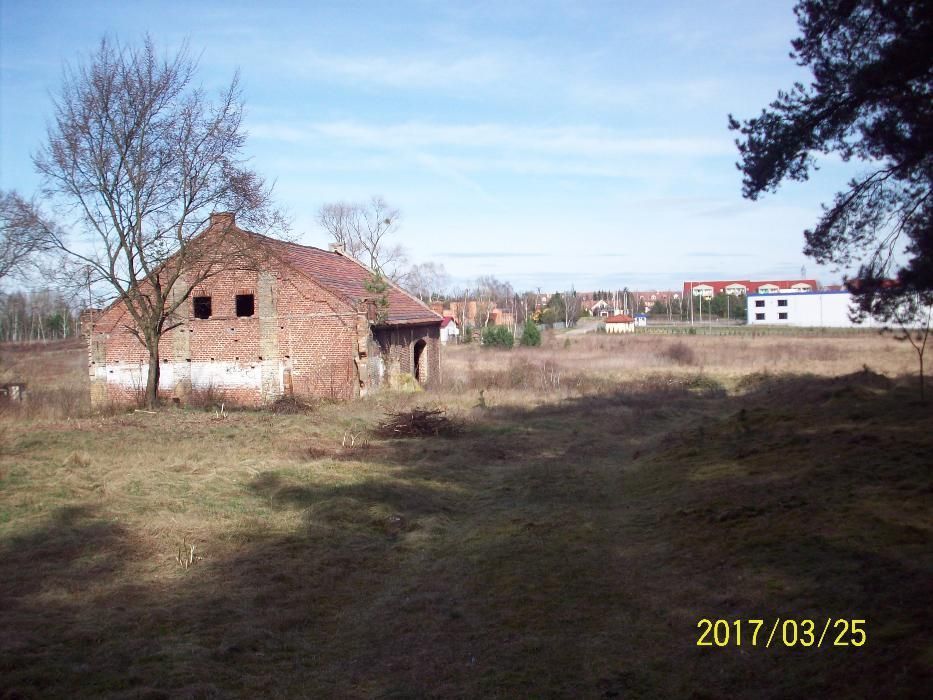 Działka budowlana Sulechów, ul. Gajowa. Zdjęcie 6