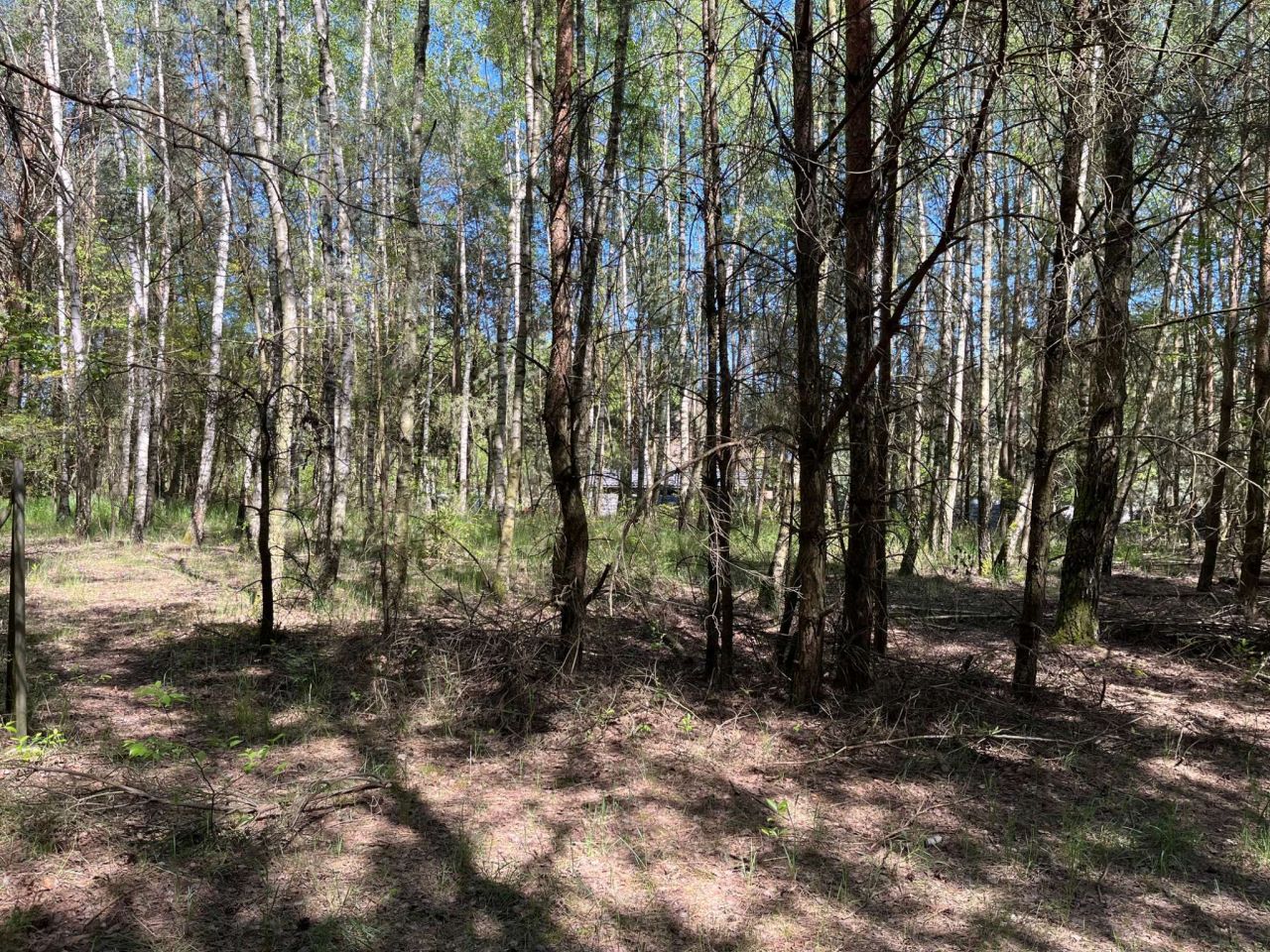 Działka budowlana Stęszewko, ul. Wiejska. Zdjęcie 16