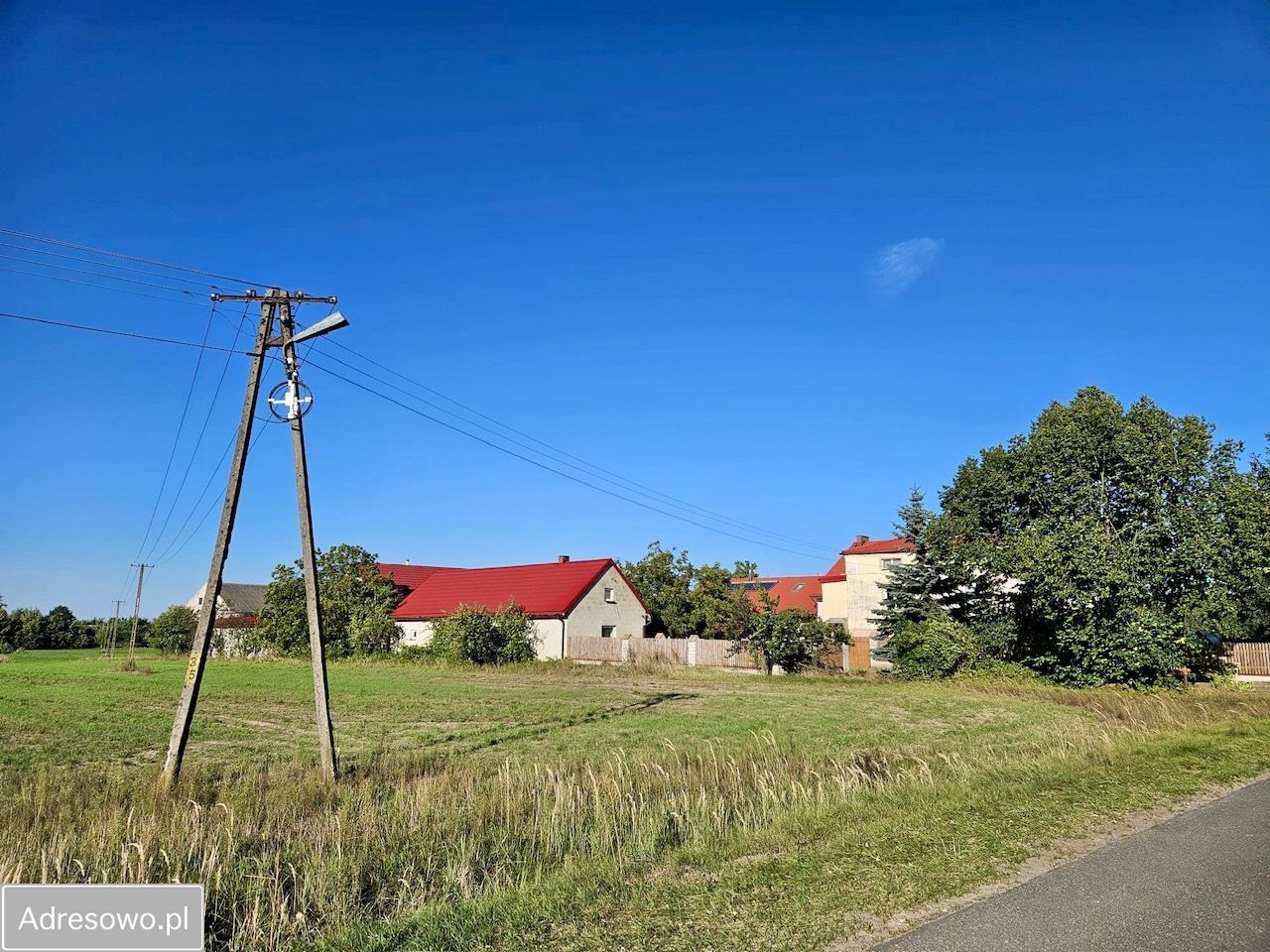 gospodarstwo Chojny. Zdjęcie 16