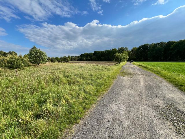 Działka budowlana Kuleje. Zdjęcie 10