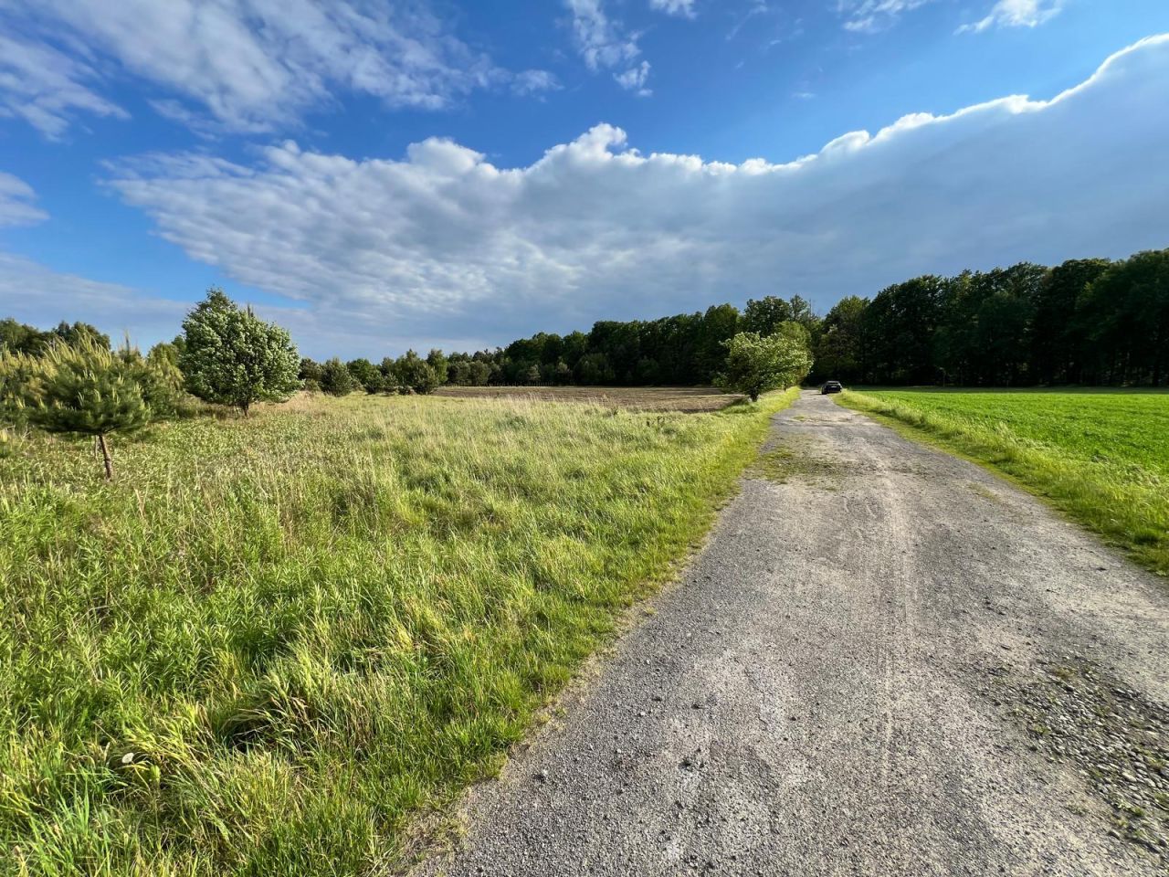Działka budowlana Kuleje. Zdjęcie 10