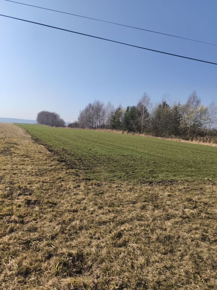 gospodarstwo Dąbrowa Górna. Zdjęcie 2