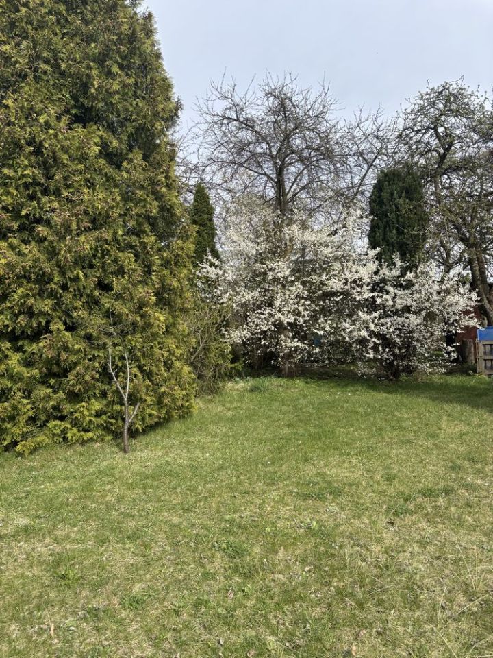 Działka rod Tarnowskie Góry, ul. Opolska. Zdjęcie 4