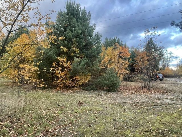 Działka budowlana Konary. Zdjęcie 1